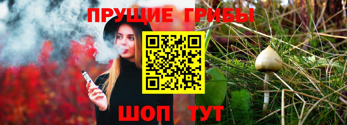 Галлюциногенные грибы Psilocybe  Галлюциногенные грибы Magic Shrooms  Богородск  Вход с VPN 