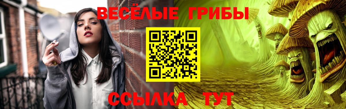 Галлюциногенные грибы GOLDEN TEACHER Богородск